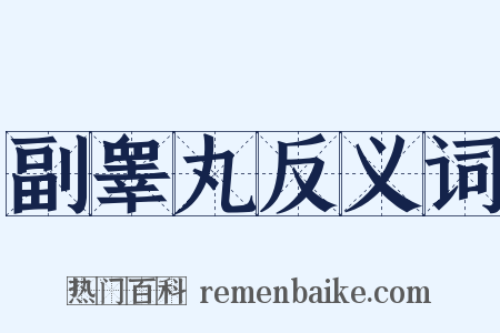 副睾丸反义词是什么意思的图片